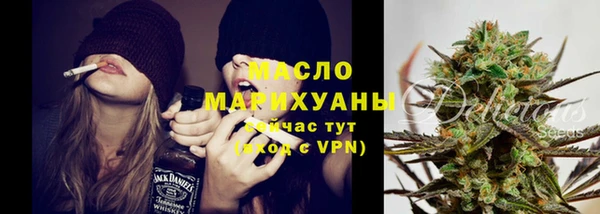 крисы Богородицк