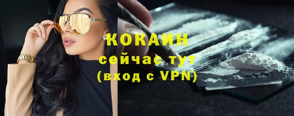 прущий лед Богданович