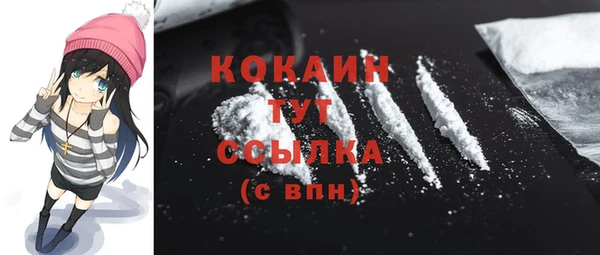 крисы Богородицк