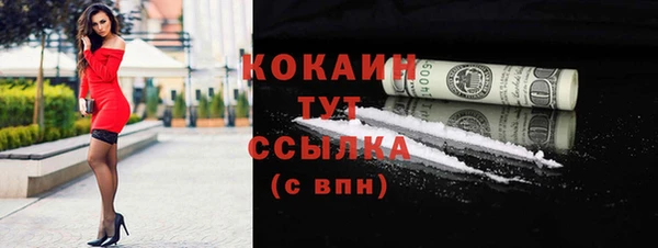 крисы Богородицк
