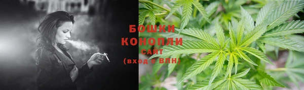 крисы Богородицк