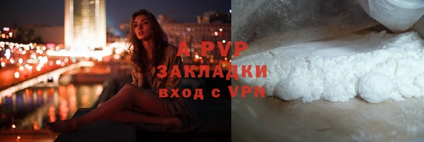 прущие грибы Богородск