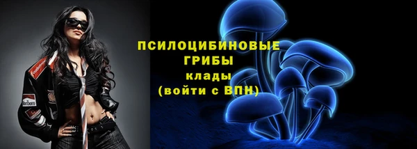 прущие крисы Верхний Тагил