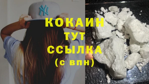 прущие грибы Богородск