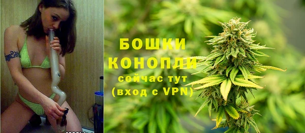 прущий лед Богданович