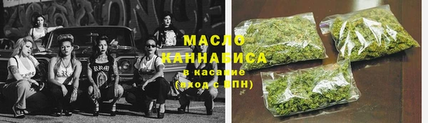 индика Нязепетровск
