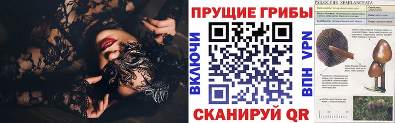 купить наркотик  Истра  Псилоцибиновые грибы Cubensis 